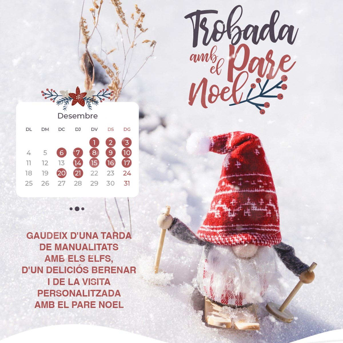 Trobada amb el Pare Noel