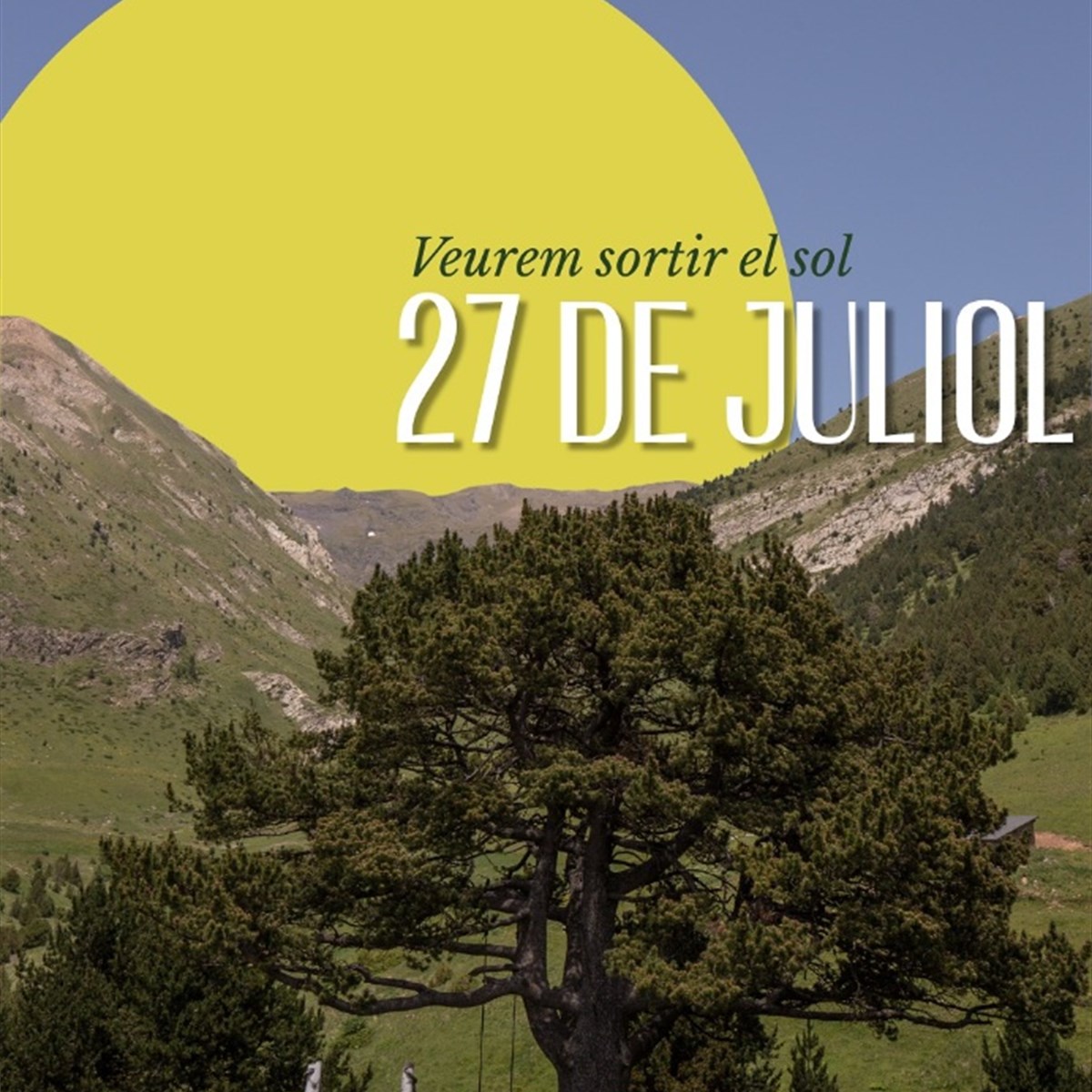 Tu veux venir voir le lever du soleil ?